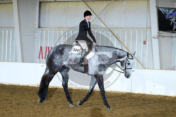 AJB_9542