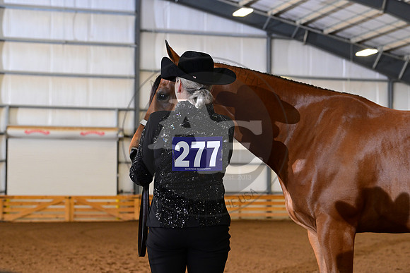 AJB_0377