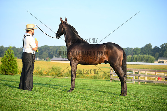 AJB_0511