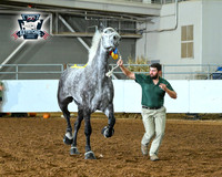 AJB_5133