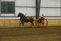Ladies Cart_Belgians-2