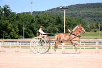 AJB_4848