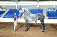 AJB_4931