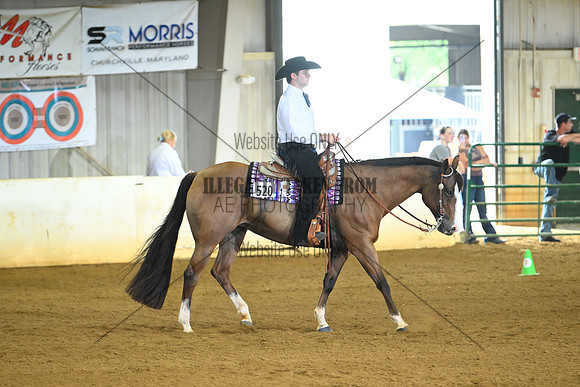 AJB_0928