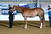 AJB_1643