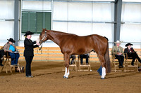 AJB_0976