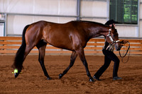 KE1_1488
