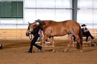 AJB_0824