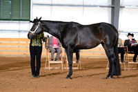 AJB_0876