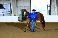 25. Amatuer Aged Mares