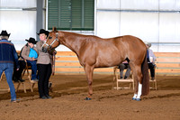 AJB_0894