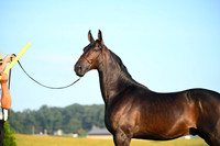 AJB_0522