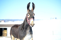 file_176866642944