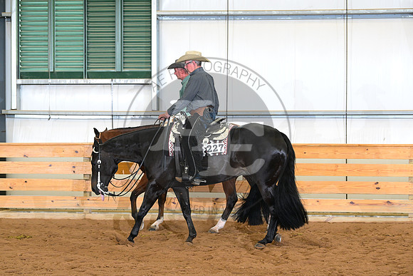 AJB_4838