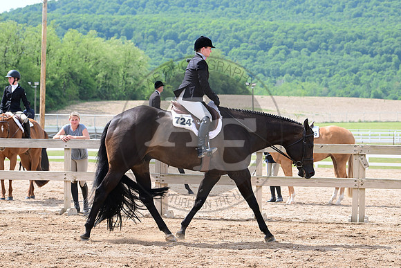 AJB_2629