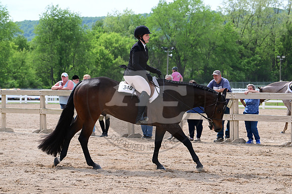 AJB_2816