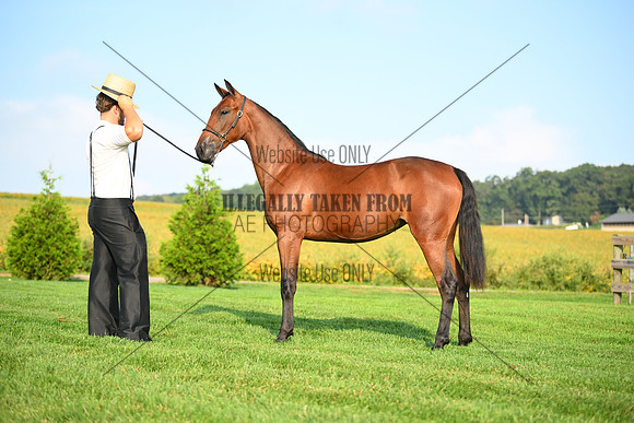 AJB_0689