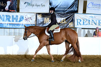 AJB_9564