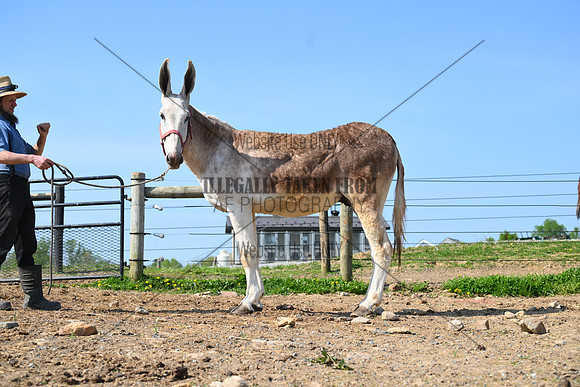 file_260115005440