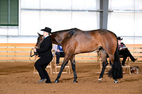 AJB_0858