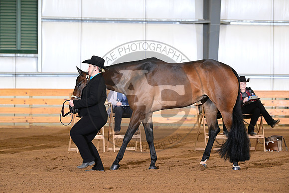 AJB_0858