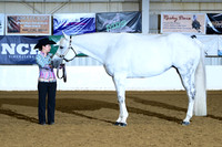 AJB_1695