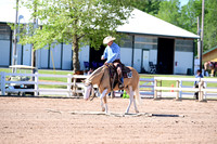 AJB_6364