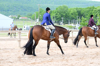 AJB_2931