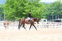 AJB_6182