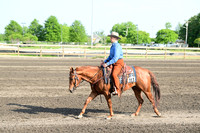 AJB_8296