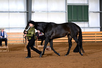 AJB_0874