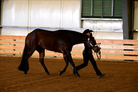 AJB_1795