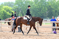 AJB_6434