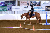 AJB_9598