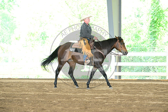 AJB_1731