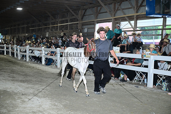 AJB_0797
