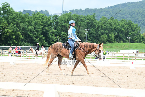 AJB_2770