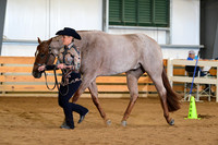 AJB_6038