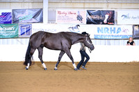 AJB_8164