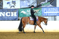 AJB_3538