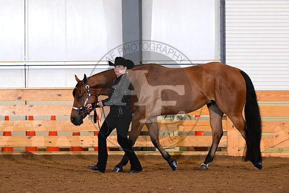 AJB_0373