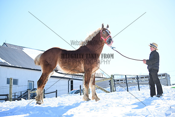 file_177659183104