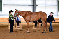 AJB_0951
