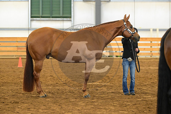 AJB_2173