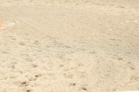 AJB_8070