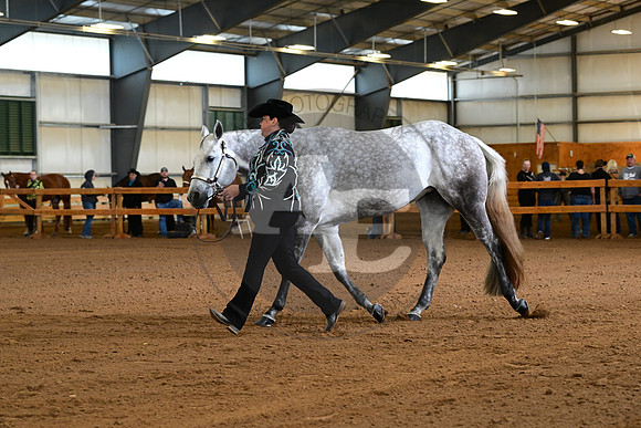 AJB_0766