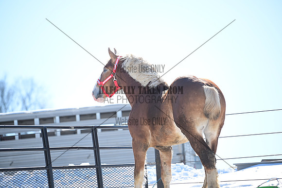 file_177309213184