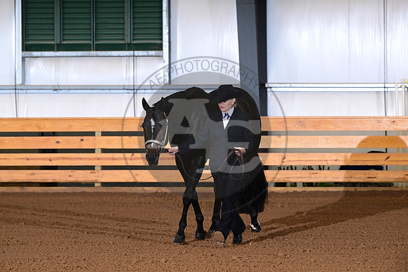 AJB_0053