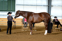 AJB_0968
