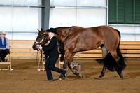 AJB_1034